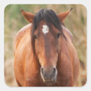 Suche nach wild mustang aufkleber Wildpferd