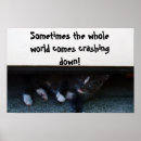 Suche nach traurige katze poster Kätzchen