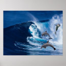 Suche nach andere säugetiere poster Ozean