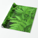 Suche nach grüner farn geschenkpapier Natur
