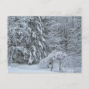 Suche nach winterbäume postkarten Winterlandschaft