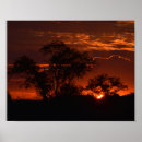 Suche nach morning sun poster Sunrise