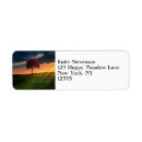 Suche nach roter baum Landschaft