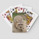 Suche nach waschbär spielkarten Natur