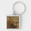 Suche nach capybara schlüsselanhänger Südamerika