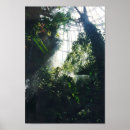 Suche nach wissenschafts poster Natur