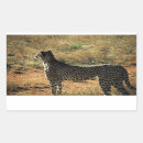 Suche nach cheetah aufkleber Katze