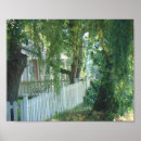 Suche nach weinende weiden poster Grün