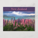 Suche nach rosa himmel poster Blumig