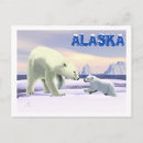 Suche nach arktischer bär poster Wild lebende tiere