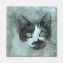 Suche nach weiße mäuse magnete Katze