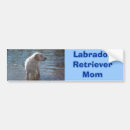 Suche nach labrador retriever autoaufkleber Labradore