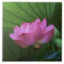 Suche nach lotus fliesen Grün