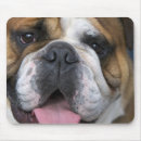 Suche nach regionen mousepads Reise