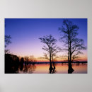 Suche nach wild lebende tiere kunst Silhouette