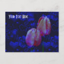 Suche nach eins postkarten Blume