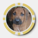 Suche nach hund poker chips Welpe