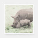 Suche nach nashorn Baby