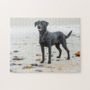 Suche nach schwarzer labrador puzzle Portrait