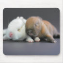 Suche nach extremen mousepads Haustiere