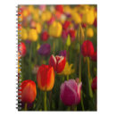 Suche nach tulip kleine notizbücher Blüten