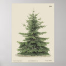 Suche nach vintage christmas tree poster Weihnachtsbaum