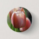 Suche nach tulpen buttons Fotografie