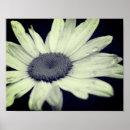 Suche nach rain poster Floral