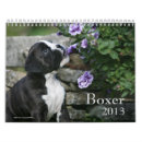 Suche nach um boxen kalender Welpe