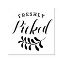 Suche nach frischware Früchte