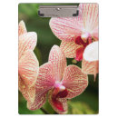 Suche nach botanik klemmbrett Farbbild