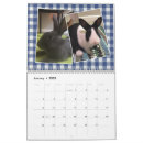 Suche nach hasen kalender Rettung
