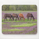 Suche nach bereich mousepads Natur