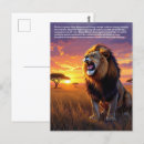 Suche nach lion postkarten Raubtier