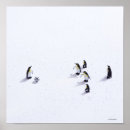 Suche nach vögel auf der ganzen welt poster Fotografie