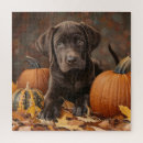 Suche nach labrador puzzle Herbst
