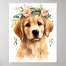 Suche nach niedlicher goldener retriever poster Haustier