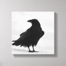 Suche nach rabe leinwandbilder Vogel
