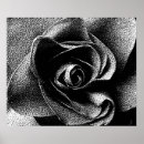 Suche nach schwarze rose poster Schwarz weiß
