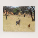 Suche nach namibia puzzle Natur