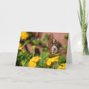 Suche nach schmetterlingsflügel postkarten Schmetterlinge