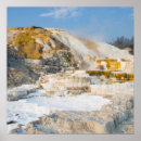 Suche nach schönheit in der natur poster Vertikal