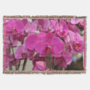 Suche nach orchideen decken Blumen