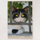 Suche nach rahmen puzzle Niedlich