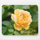 Suche nach orange ros mousepads Botanisch