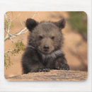 Suche nach grizzlybär mousepads Usa