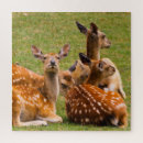 Suche nach grasen puzzle Herde