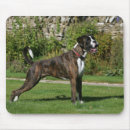 Suche nach pam elektronik zubehör Boxer