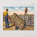 Suche nach baumwolle postkarten Südlich