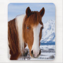 Suche nach pinto pferd mousepads Bauernhof